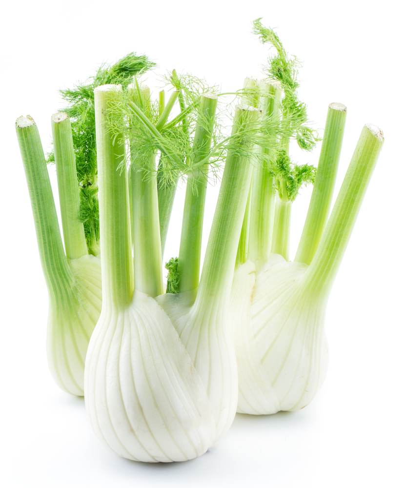 Fennel Medijuice